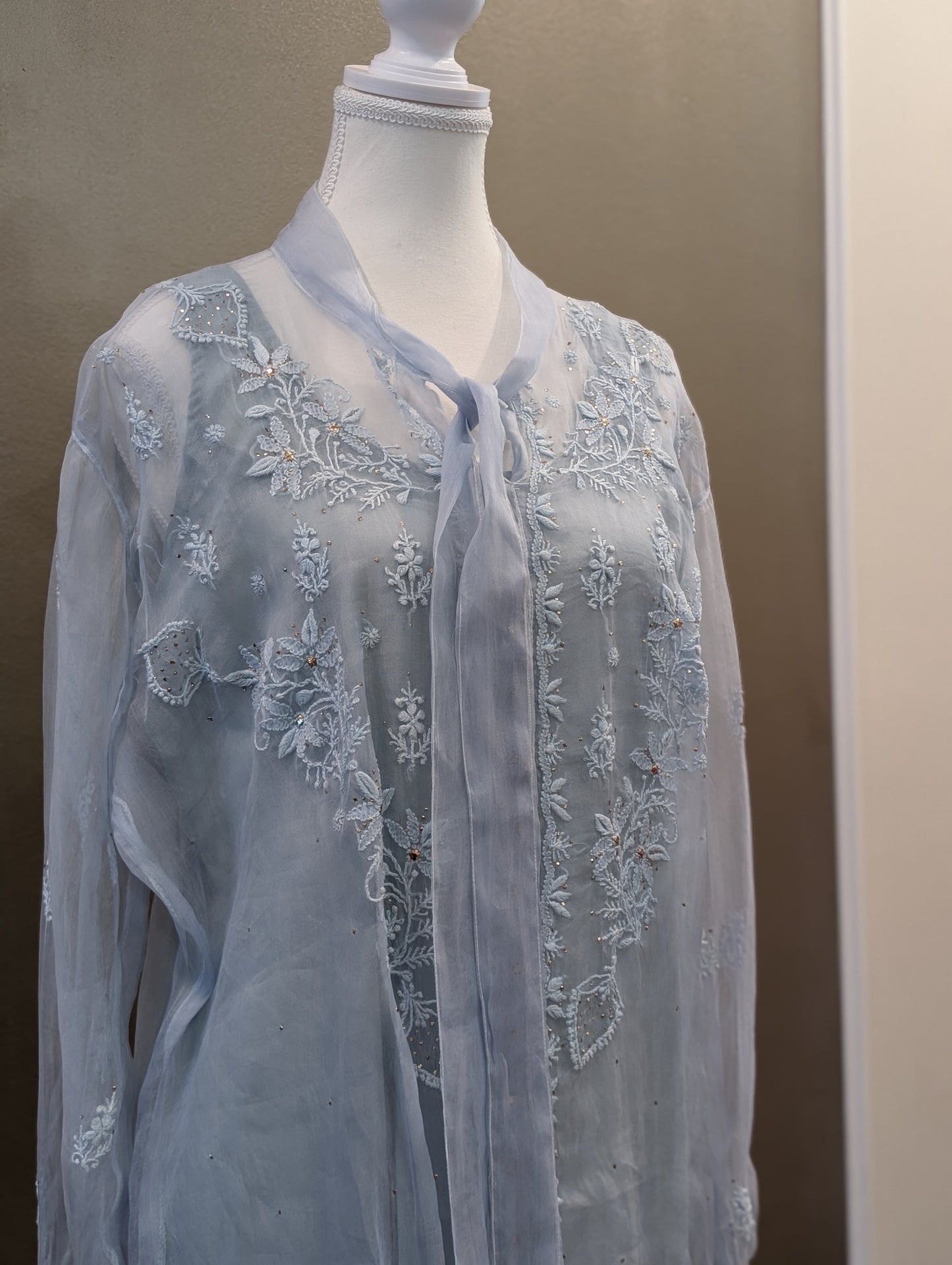 Organza tops with slip
