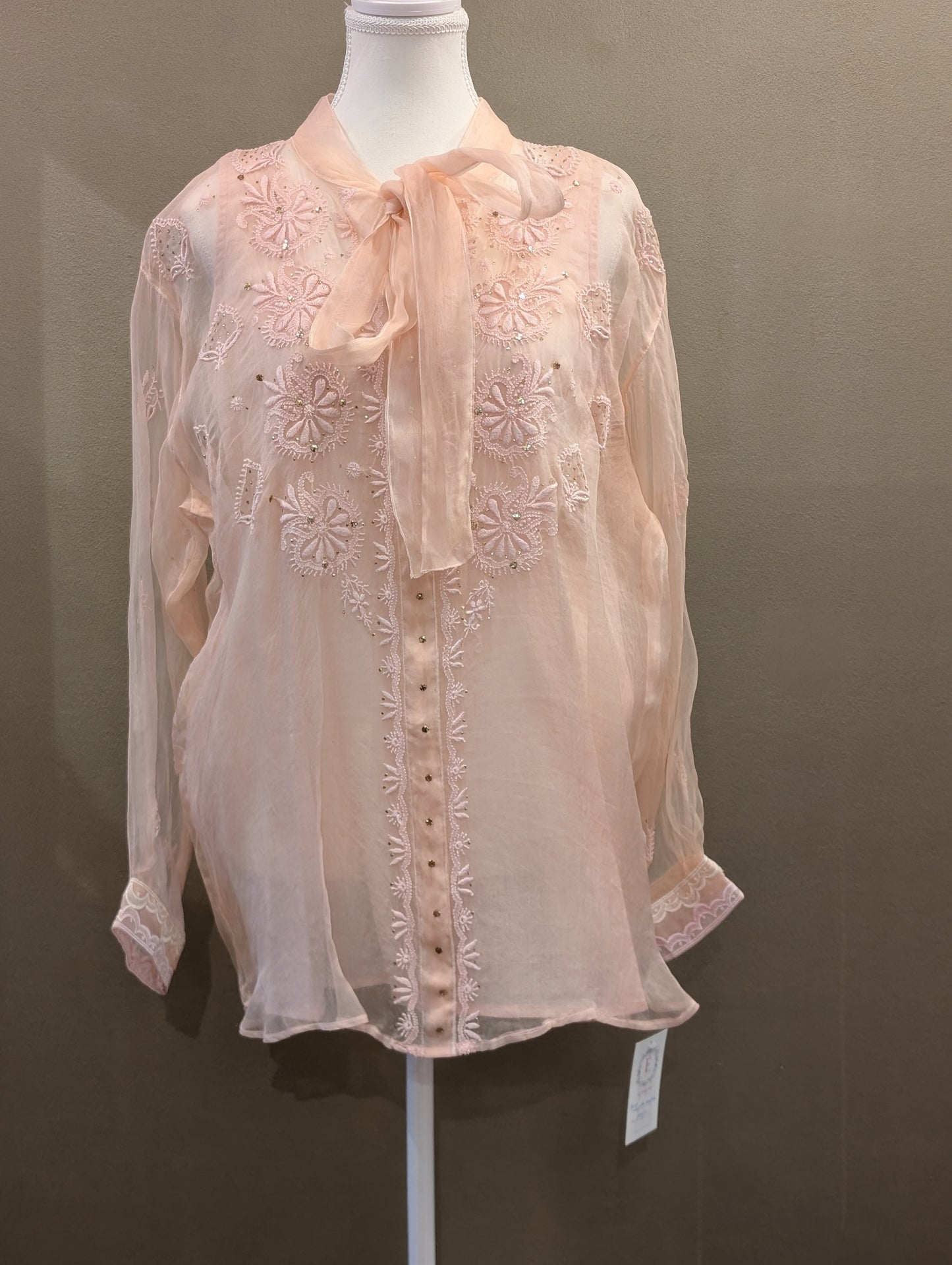 Organza tops with slip