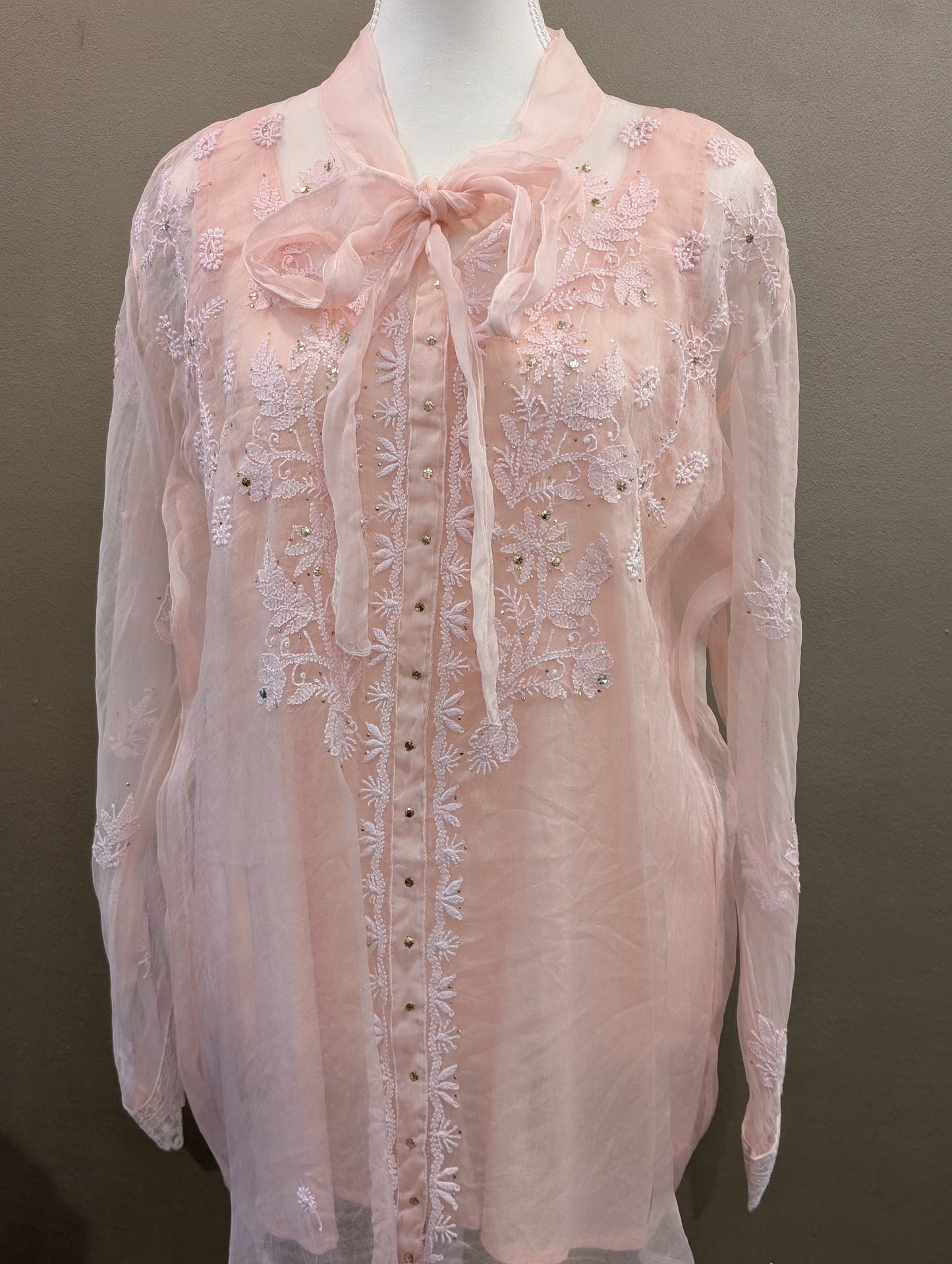 Organza tops with slip
