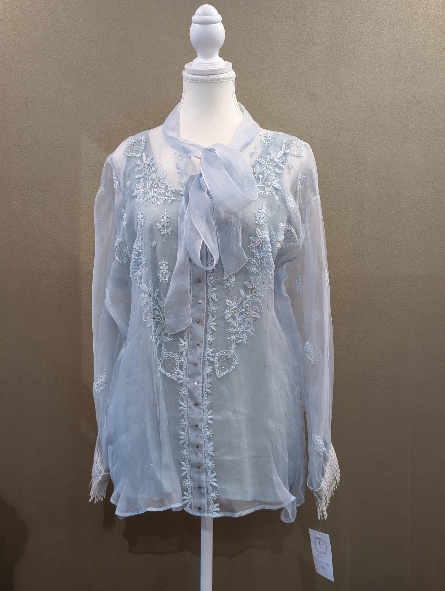 Organza tops with slip