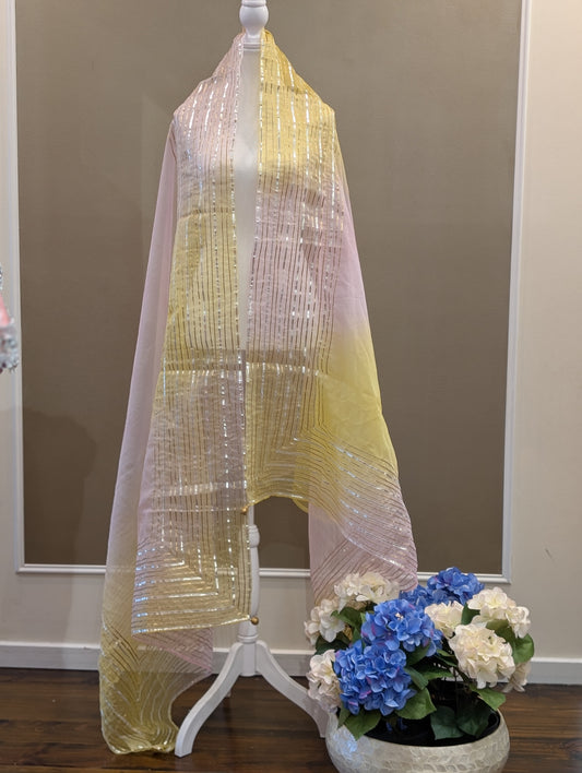 Organza gota dupatta